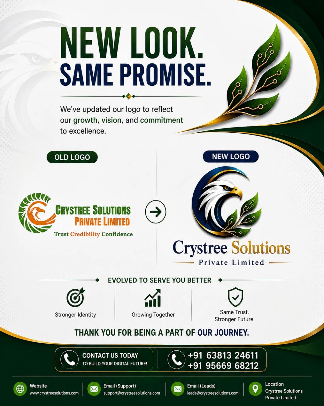 Crystree Branding Updates 2026
